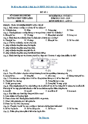 Bộ đề ôn thi cuối kì 1 Sinh học 10 KNTT 2025-2026 (Có đáp án)