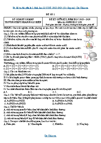 Bộ đề ôn thi giữa kì 1 Sinh học 12 CTST 2025-2026 (Có đáp án)