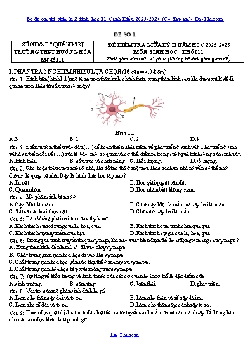 Bộ đề ôn thi giữa kì 2 Sinh học 11 Cánh Diều 2025-2026 (Có đáp án)