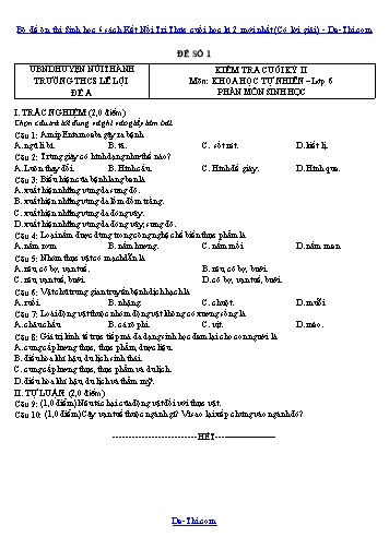 Bộ đề ôn thi Sinh học 6 sách Kết Nối Tri Thức cuối học kì 2 mới nhất (Có lời giải)