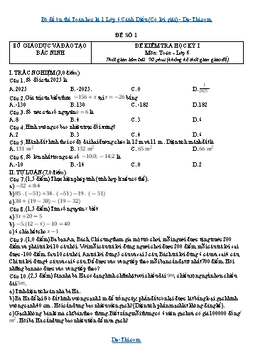 Bộ đề ôn thi Toán học kì 1 Lớp 6 Cánh Diều (Có lời giải)