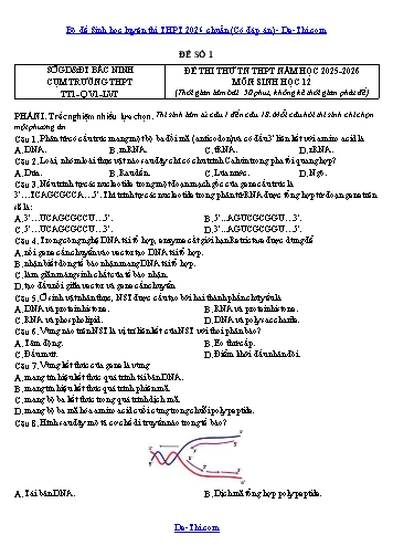 Bộ đề Sinh học luyện thi THPT 2026 chuẩn (Có đáp án)