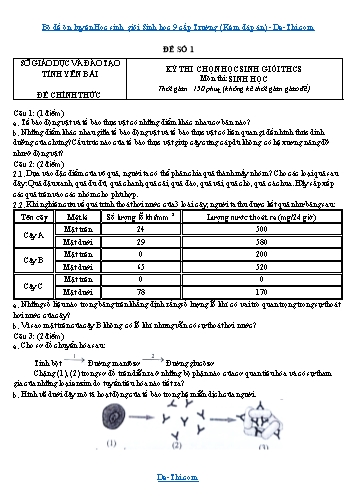 Bộ đề ôn luyện Học sinh giỏi Sinh học 9 cấp Trường (Kèm đáp án)